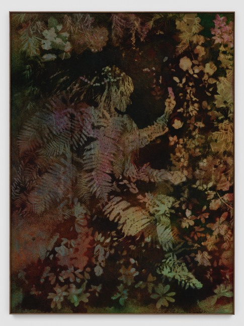 Canvas work by Sam Falls