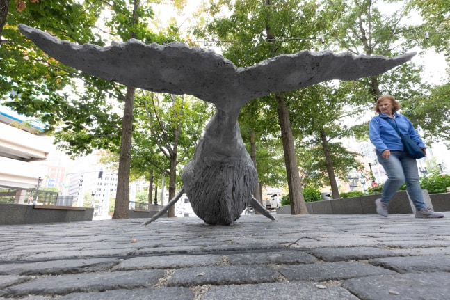 Installation view, Jean-Marie Appriou, Whale Song, Central Wharf, Boston, 2024