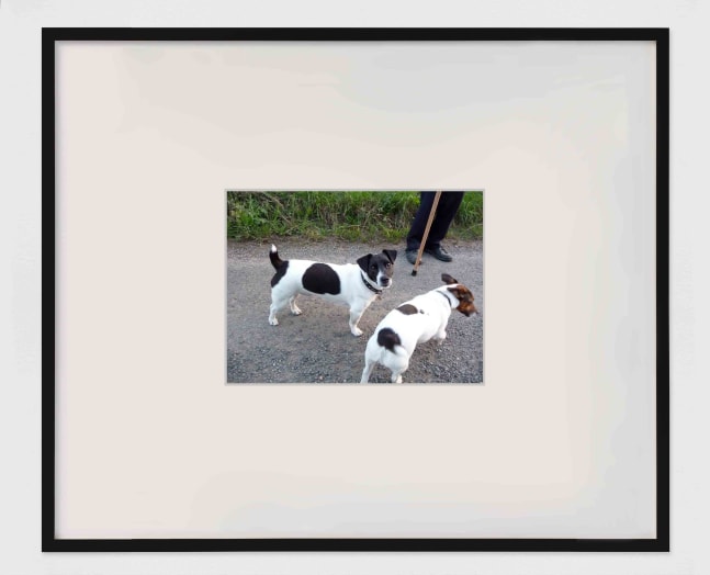 KAREN KILIMNIK  old dogs, 19th century dogs out for a walk the ancient forest, england   2013 C-Print; framed Ed. 1/5  Image 5.5 x 7.5 cm / 2 1/4 x 3 in Frame 20.5 x 32.5 x 3.5 cm / 8 1/8 x 12 7/8 x 1 1/2 in  KILIM39232