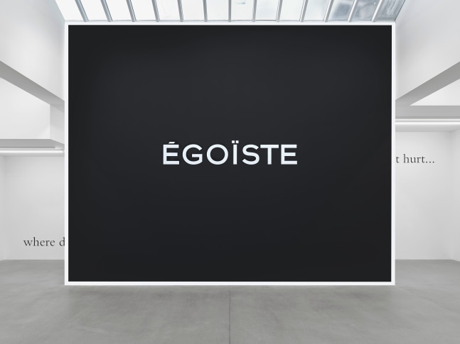 &amp;Eacute;GO&amp;Iuml;STE

1993

Acrylic on wall

Dimensions variable

&amp;copy; Sylvie Fleury