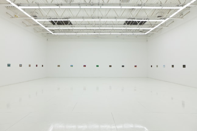 Installation view of works by Jean-Frédéric Schnyder
