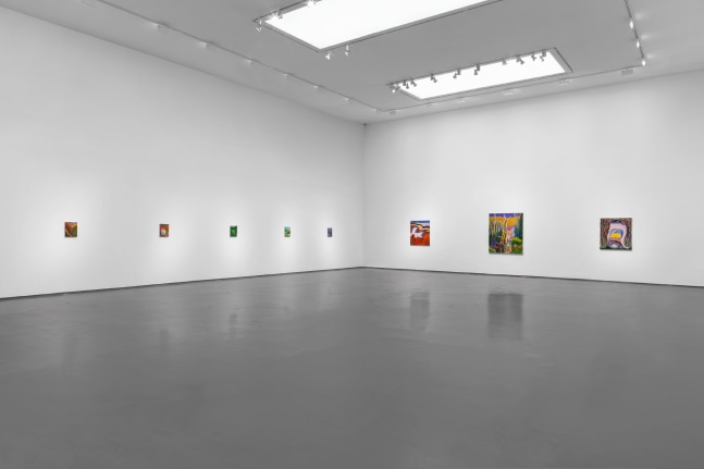 Installation view of Paintings by Shara Hughes