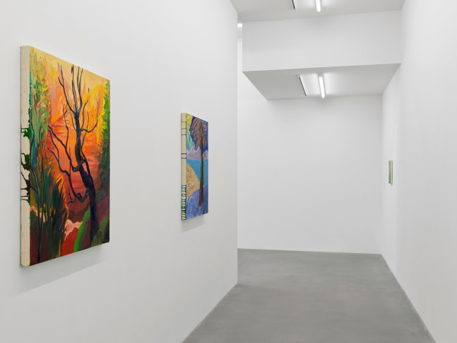Installation view, Shara Hughes, Tree Farm, Galerie Eva Presenhuber, Waldmannstrasse, Zurich, 2024