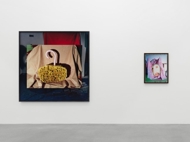 installation view of Lucas Blalock