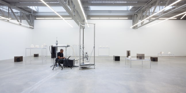 Installation view of sculptures by Matthew Angelo Harrison