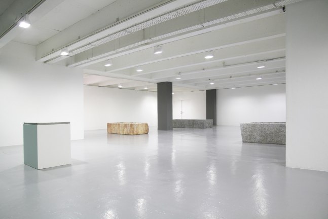 Installation view of sculptures by Valentin Carron