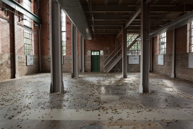 Installation view of sculptures by Matias Faldbakken