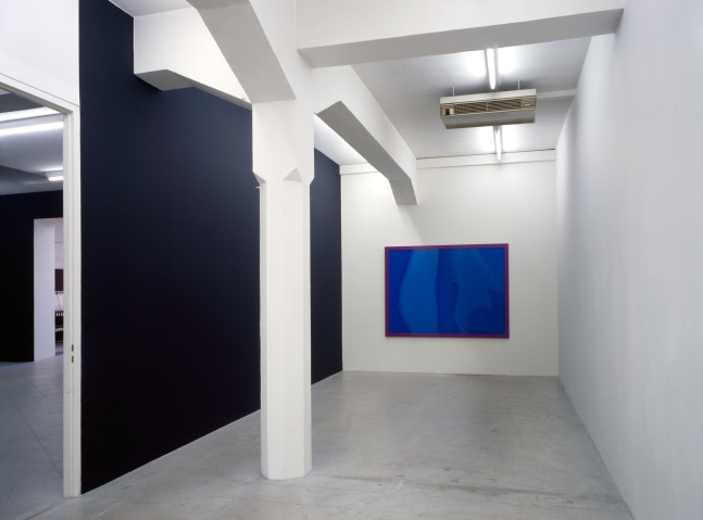 Installation view of Gerwald Rockenschaub wall painting installations and wall works