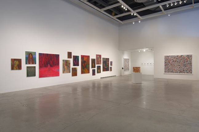 Installation view of works by Steven Shearer