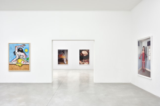 Installation view, Carroll Dunham &amp;amp; Laurie Simmons, Consortium Museum, Dijon, 2024