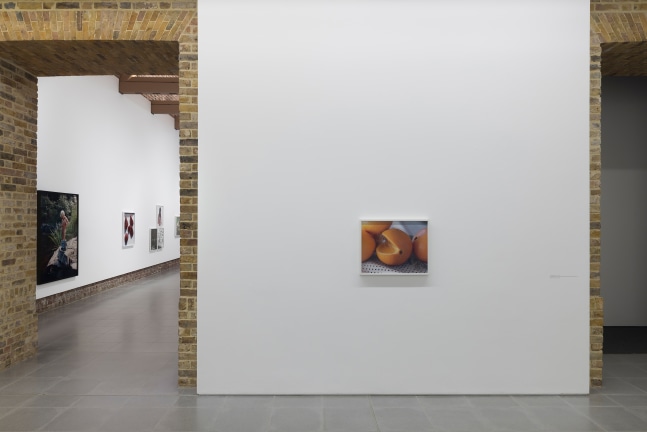 Installation view of photographs by Torbjørn Rødland