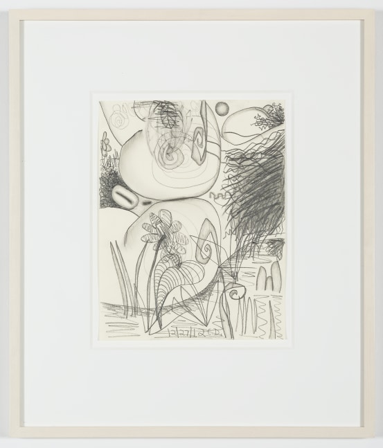 Drawing by Carroll Dunham