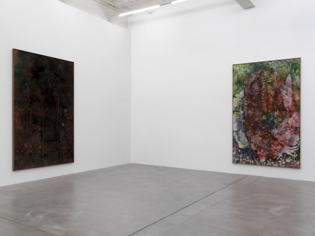 Installation view of Sam Falls paintings and sculptures exhibition