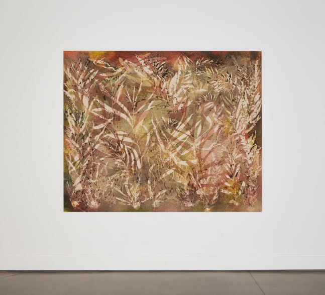 Installation view, Sam Falls, Nothing Without Nature, Cookie Factory, Denver, 2025