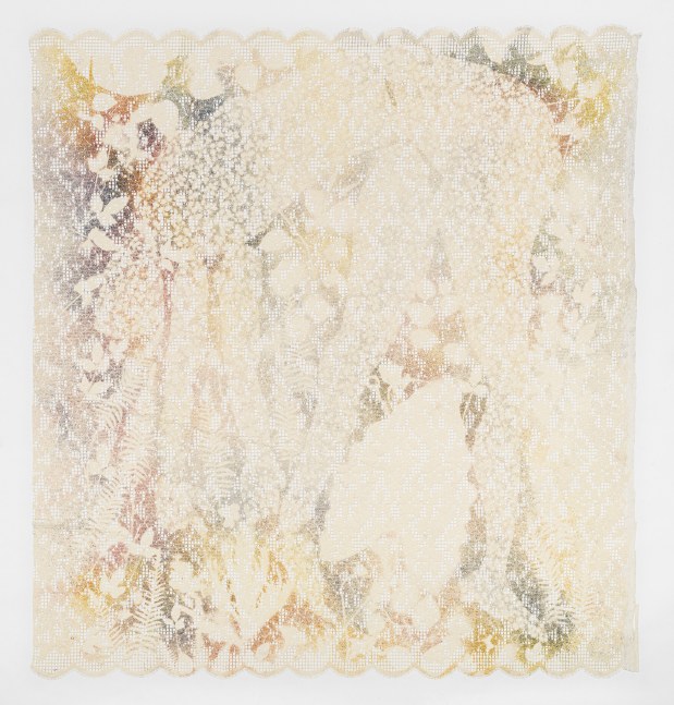 pigment painting on lace by Sam Falls