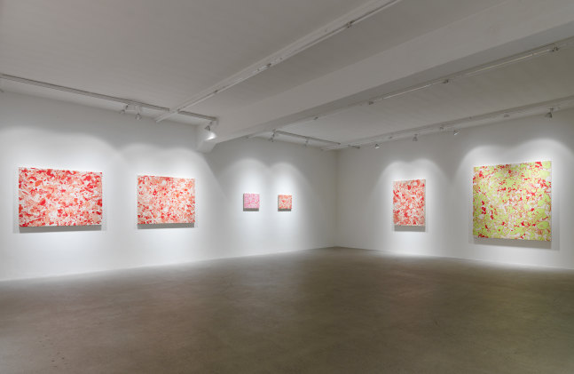 Installation view of Sue Williams painting exhibition