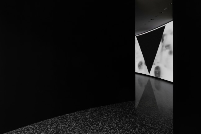 Installation view, Adam Pendleton, Love, Queen, Hirshhorn Museum, Washington D.C, 2025-27