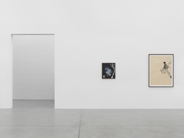Installation view of Tobias Pils paintings and ink works on paper exhibition