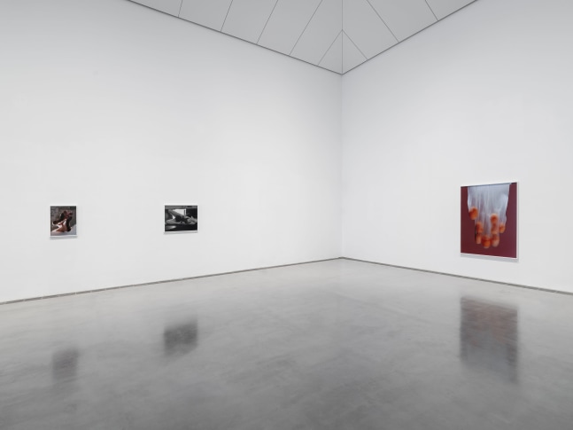 Installation view, Torbj&amp;oslash;rn R&amp;oslash;dland, Songs for the Sun, Yuz Museum, Shanghai, 2025
