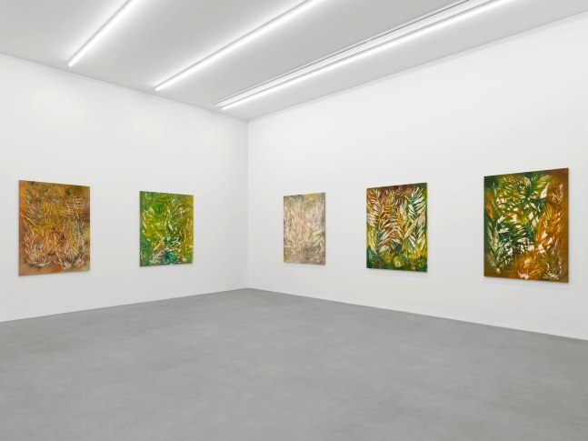 Installation view, Sam Falls, Galerie Eva Presenhuber, Waldmannstrasse, Zurich, 2025