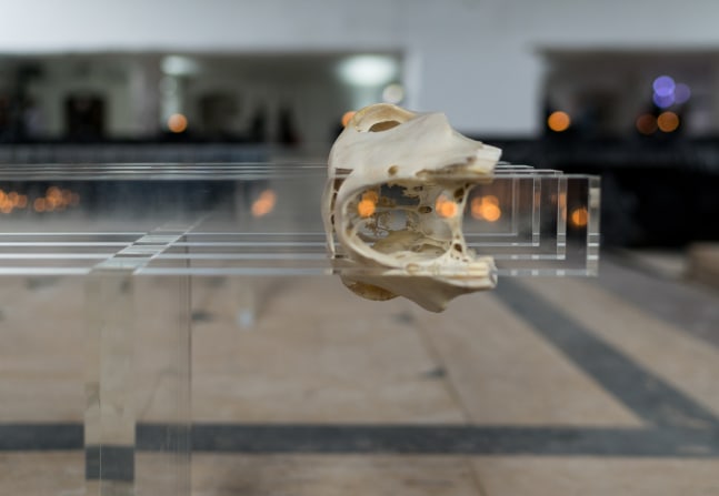 Installation view of sculptures by Matthew Angelo Harrison