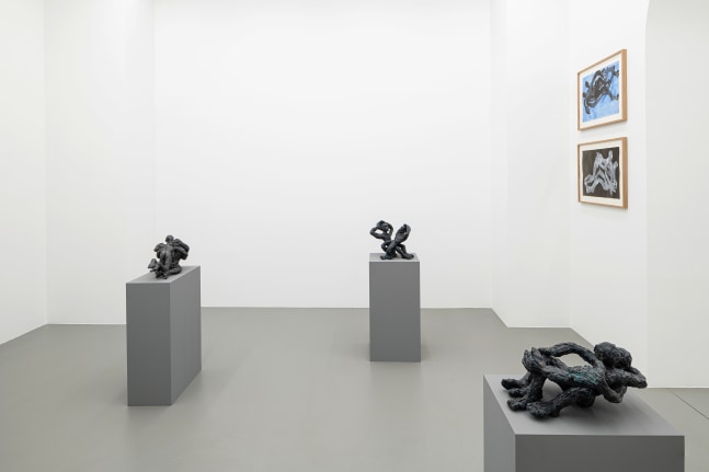 Installation view, Andrew Lord, a sculpture of my left hand and five embraces, Galerie Eva Presenhuber, Vienna, 2023
