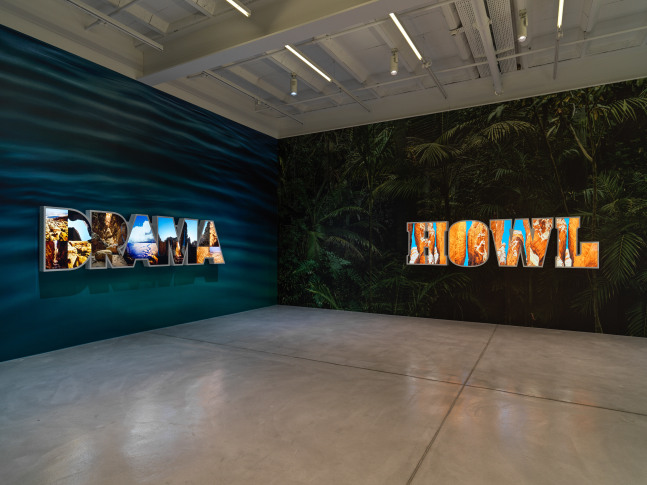 Installation view, Doug Aitken, HOWL, Galerie Eva Presenhuber, Zurich, 2023