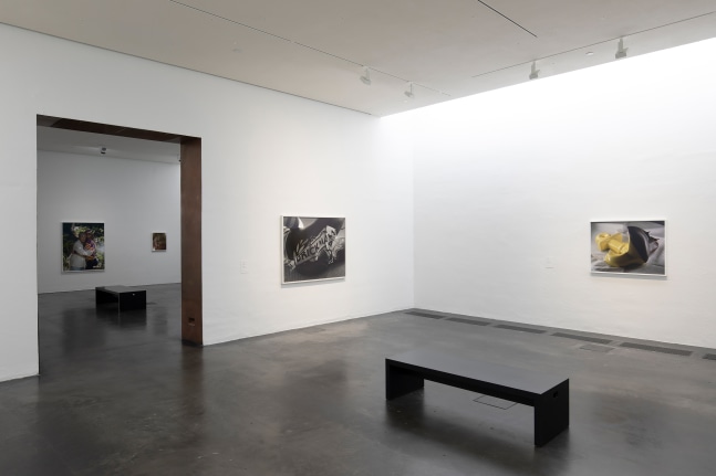 Installation view of photographs by Torbjørn Rødland