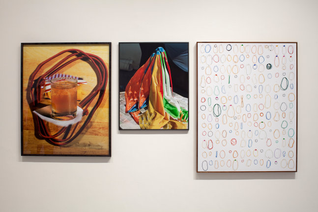 Installation view of Works by Lucas Blalock