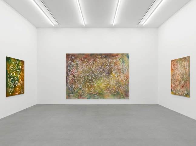 Installation view, Sam Falls, Galerie Eva Presenhuber, Waldmannstrasse, Zurich, 2025