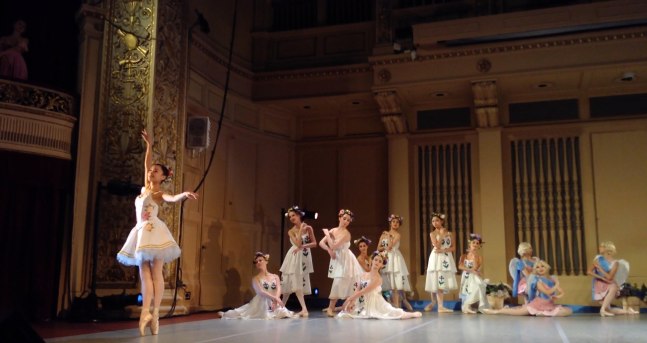 Performance of Ballet dancers