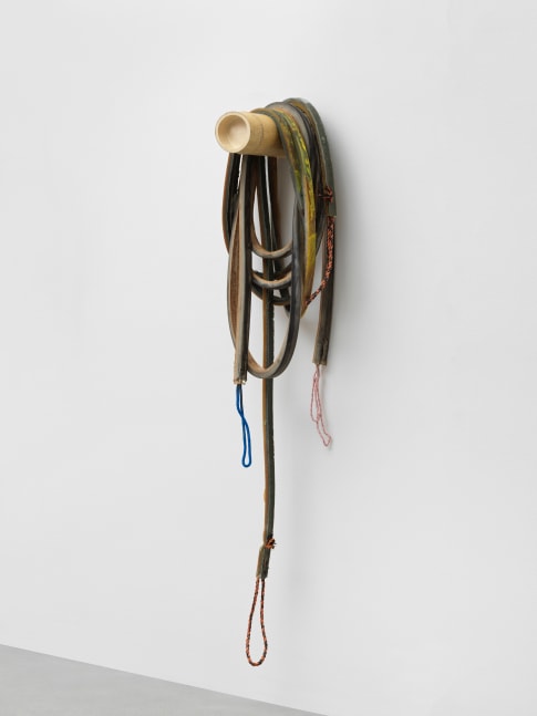 Loop 4 

2021

Latex, rope, bamboo, pigment, talcum

Installation dimensions variable

&amp;copy; Liesl Raff

&amp;nbsp;