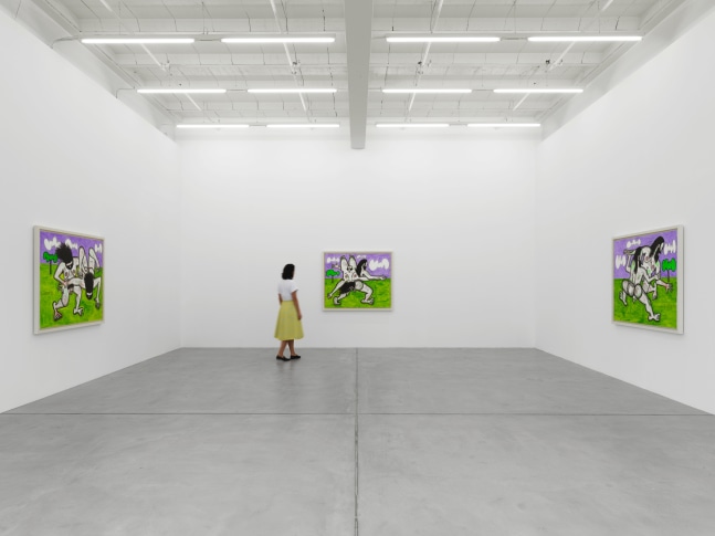 Installation view of Carroll Dunham painting exhibition