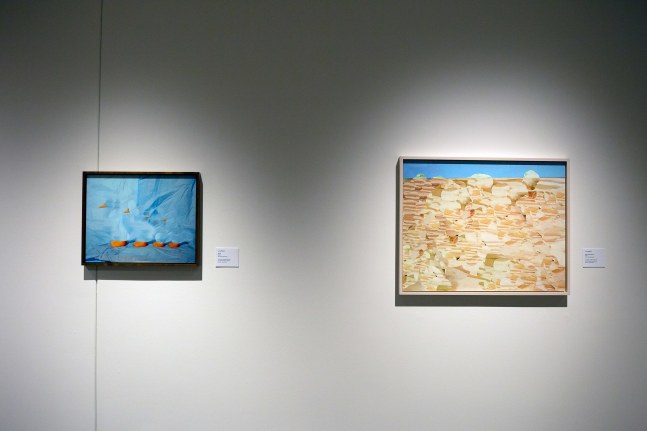 Installation view of Works by Lucas Blalock