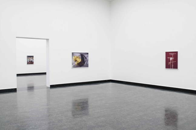 Installation view of photographs by Torbjørn Rødland
