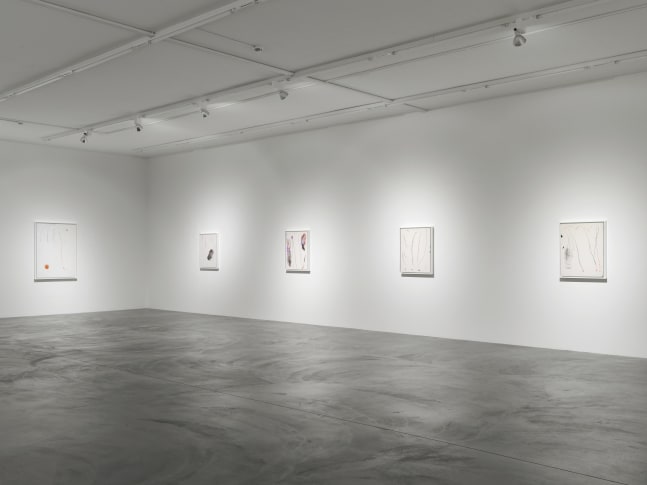 Installation view of Josh Smith paintings exhibition