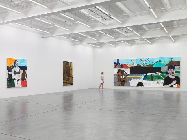 Installation view of paintings by Henry Taylor