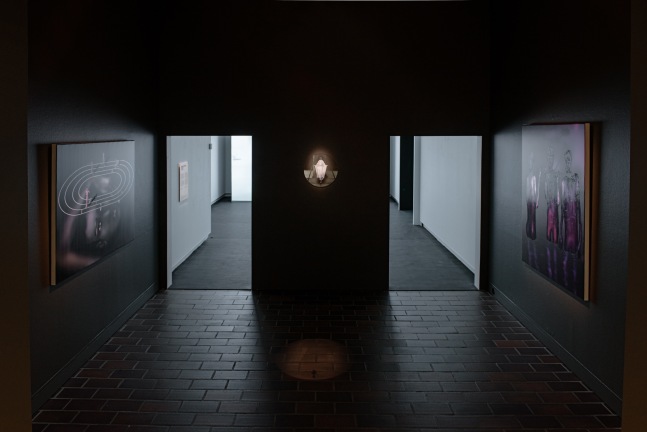 Installation view of Louisa Gagliardi paintings