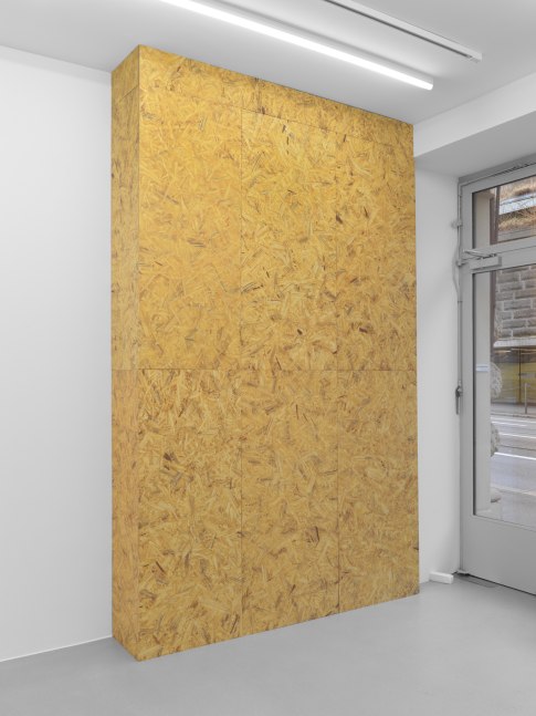 Sculpture by Valentin Carron