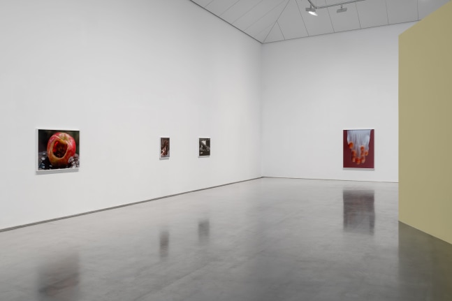Installation view, Torbj&amp;oslash;rn R&amp;oslash;dland, Songs for the Sun, Yuz Museum, Shanghai, 2025