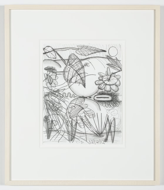 Drawing by Carroll Dunham