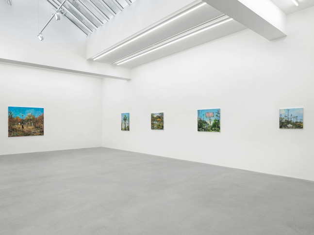 installation view verne dawson