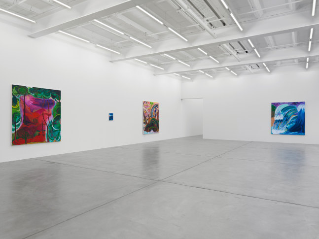 Installation view of Shara Hughes paintings exhibition