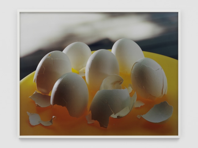 Stolen Shells

2022

Chromogenic print on Kodak Endura paper

Image 110 x 140 cm / 43 1/4 x 55 1/8 in

Frame 112.5 x 142.5 x 4 cm / 44 1/4 x 56 1/8 x 1 5/8 in

&amp;copy; Torbj&amp;oslash;rn R&amp;oslash;dland