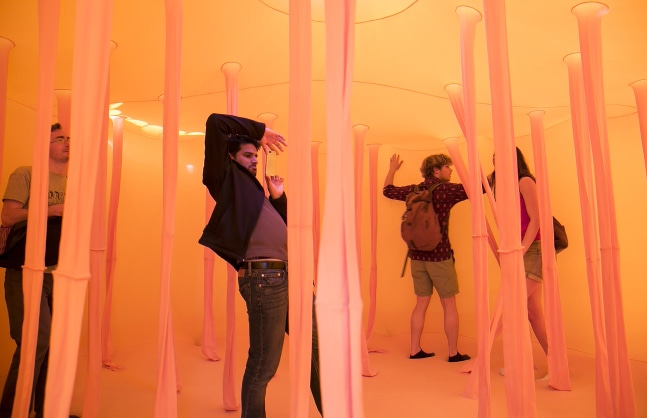 Installation view of living art installation by Doug Aitken