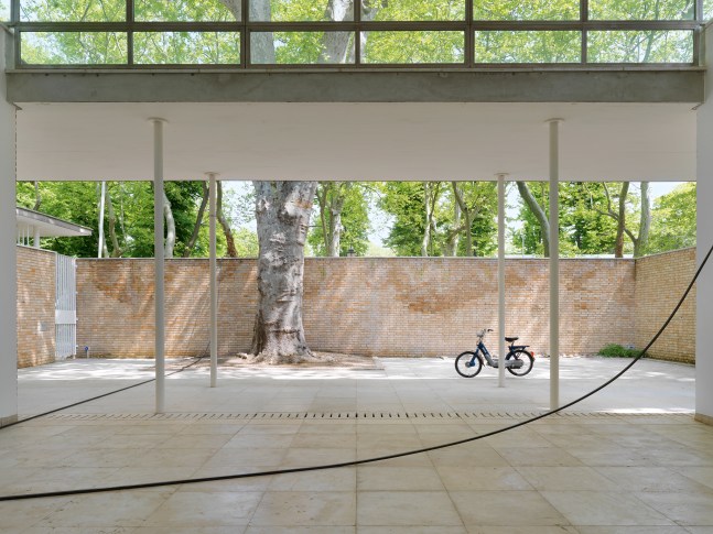 Installation view of sculptures by Valentin Carron