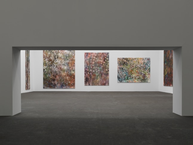 Installation view of paintings by Sam Falls