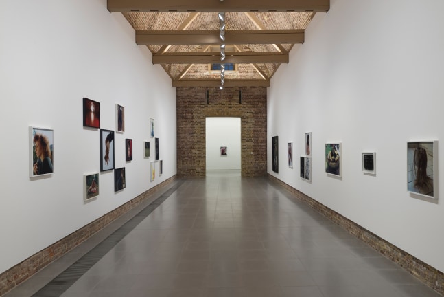 Installation view of photographs by Torbjørn Rødland