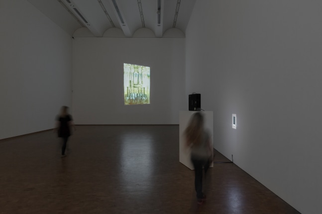 Installation view of videos and sculptures by Trisha Donnelly