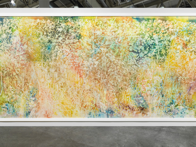 Installation view, Sam Falls, Spring to Fall, Art Basel Unlimited, Basel, 2024